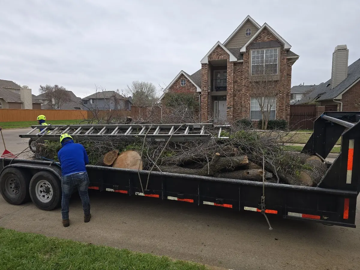 Expert Tree Pest Control with proper safety equipment in Oyster Bay